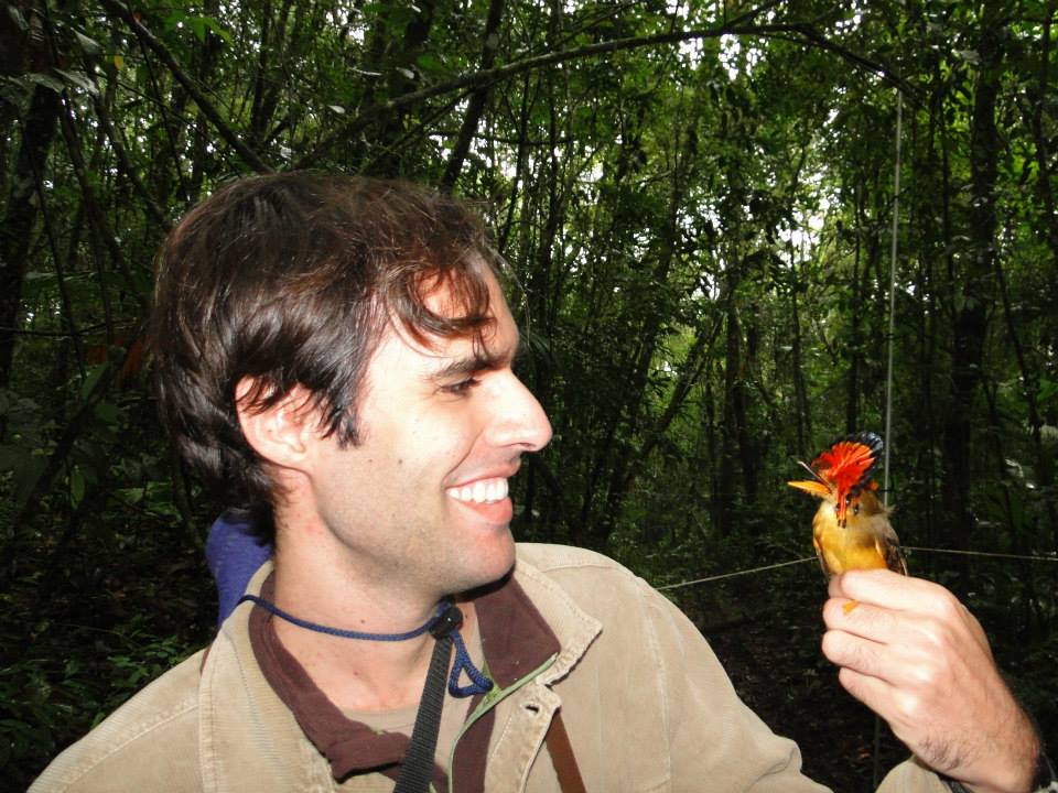 Dr. Rafael Marcondes holding a royal flycatcher (<i>Onychorhynchus</i> sp.)<br/>Photo credit: Evan Buck