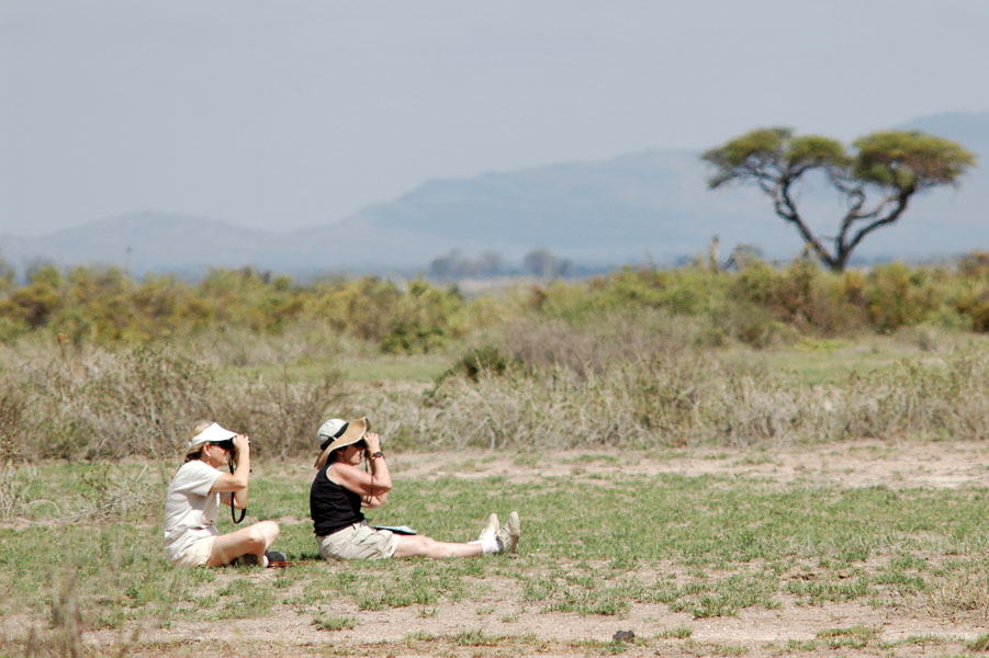 “Five decades of data yield no support for adaptive biasing of offspring sex ratio in wild baboons (Papio cynocephalus)” (Photo: Courtney L. Fitzpatrick)