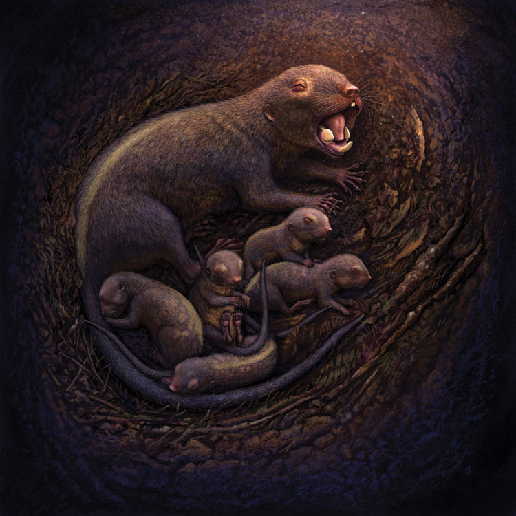 A multituberculate mother, of the genus <i>Mesodma</i>, and her relatively precocial, nursing offspring. Many of the multituberculate femora included in this study likely belonged to <i>Mesodma</i>, indicating that these animals had a placental-like reproductive strategy. Artwork by Andrey Atuchin