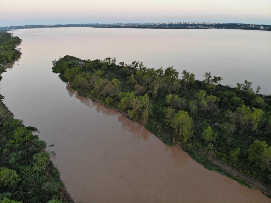 Why food web structure matters for a healthy ecosystem