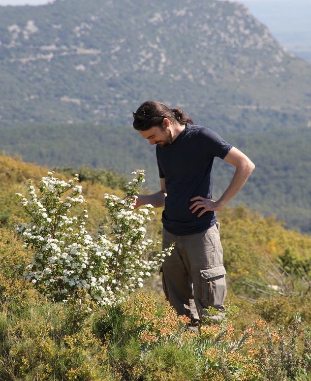 Sébastien Lion