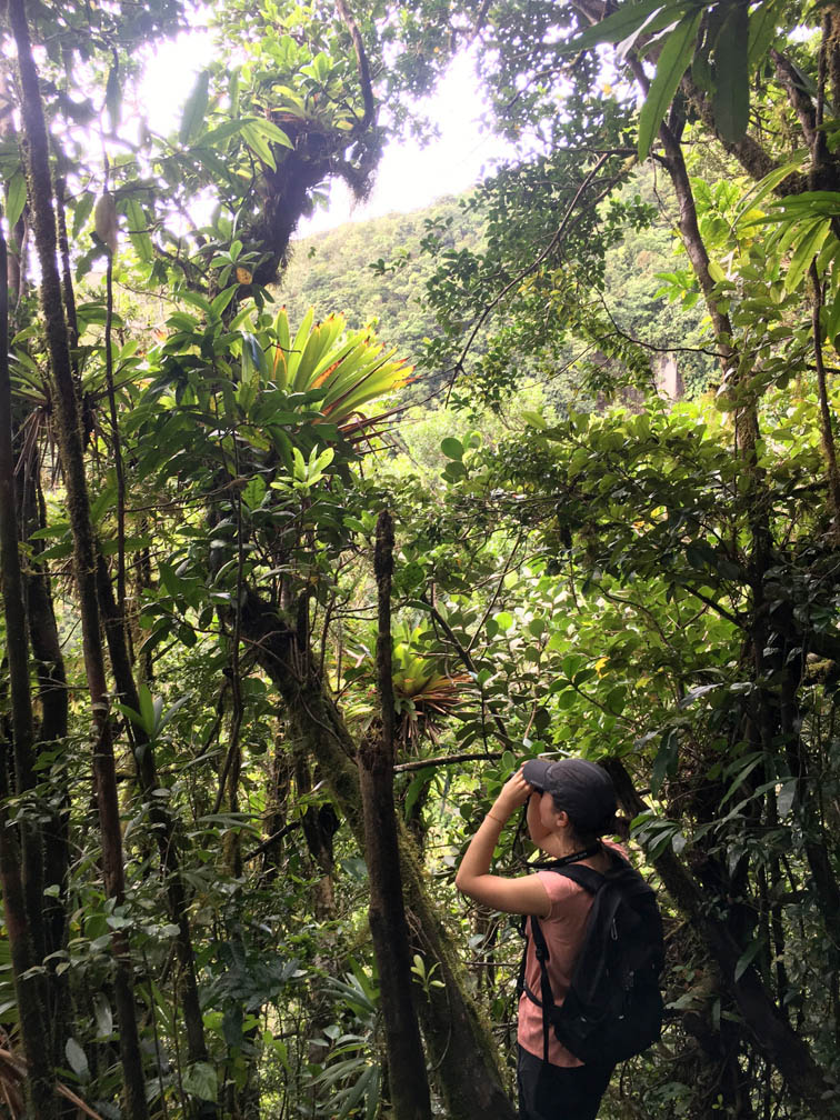 2026 American Naturalist Student Paper Award