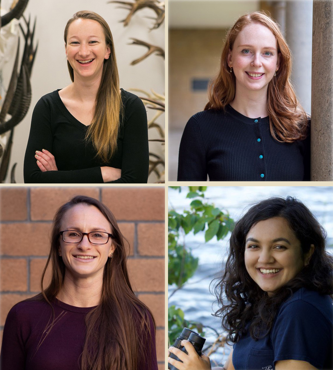 2025 ASN Early Career Investigator Awards