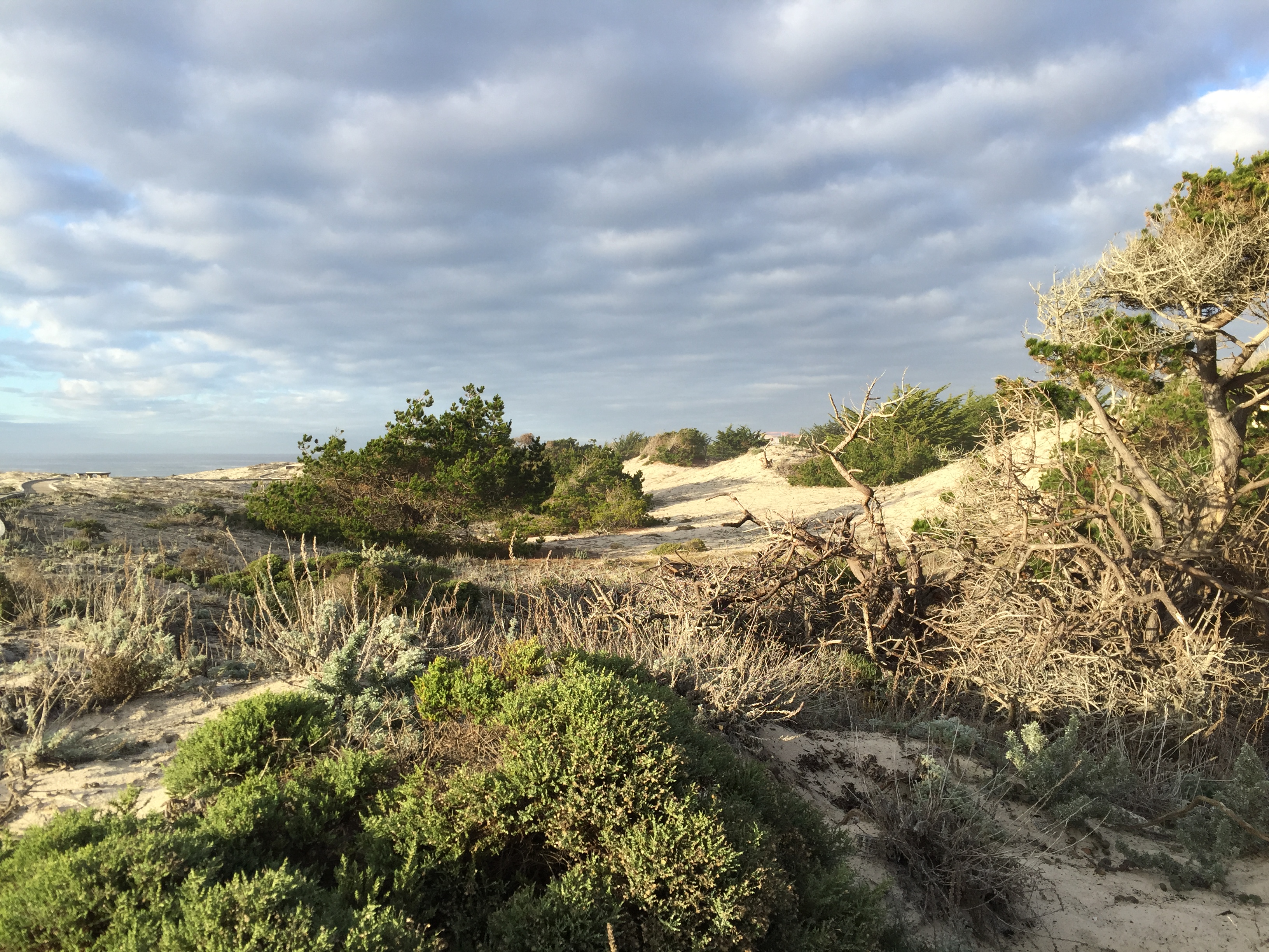 Call for symposium proposals for Asilomar 2023!