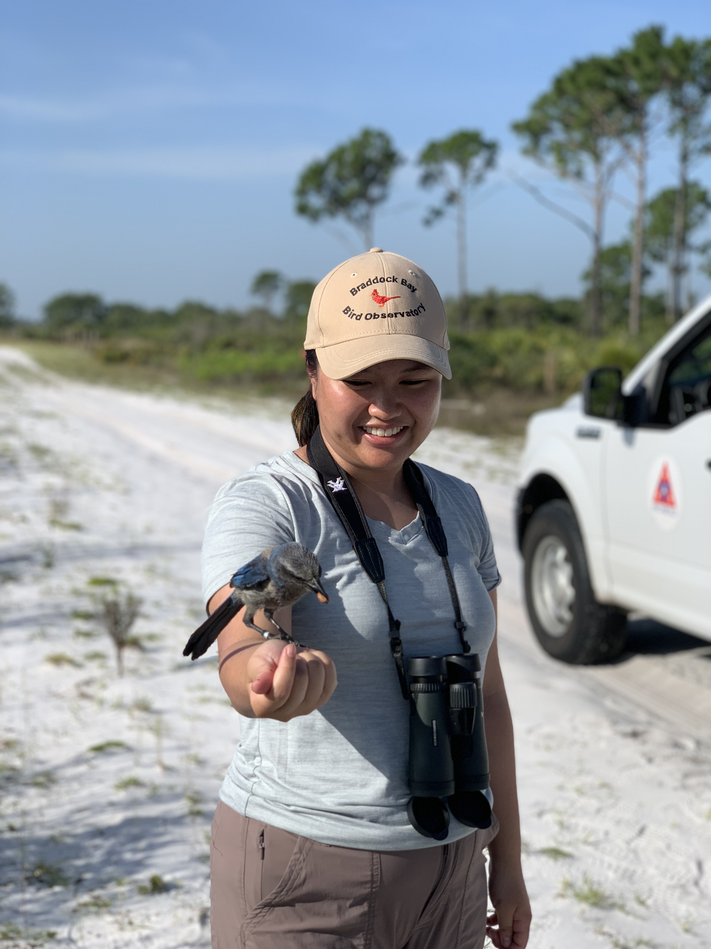 Faye Romero holding a Florida Scrub-Jay. <br/>Photo credit: Faye Romero